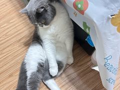-喜家自助小火锅(乐客城店)