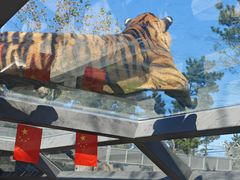 -西霞口神雕山野生动物世界