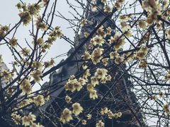 -木子山庄·安徽省老字号·中国炖锅宴