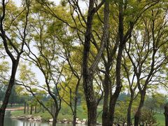 -龙熙温泉高尔夫俱乐部
