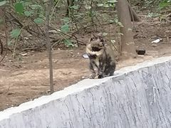 -北陵公园