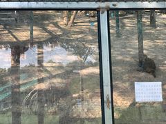 -北京鹿世界主题园