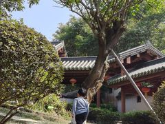 -广州神农草堂中医药博物馆