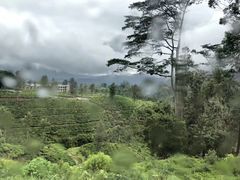 -Ministry of Crab(科伦坡店)