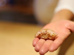 -鹤菊·鮨Omakase(古子城店)