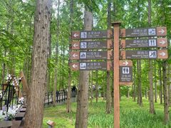 -黄海国家森林公园