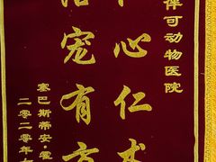 -美联众合动物医院·伴可分院·内科中心医院