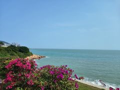-青澳湾北回归线广场