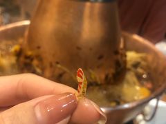 -炉小二铜锅牛蛙•川湘菜(三里屯店)