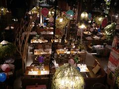 -胡桃里音乐酒馆(石家庄店)