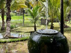 -四季酒店下午茶