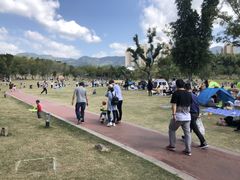 -牛岗山公园