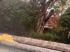 -西安华清御汤酒店