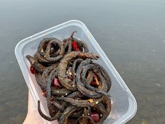 -丹水桥地锅鱼·翘嘴鲌·地方特色全鱼宴(丹江口大坝店)