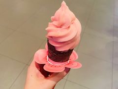 宠粉蜜桃雪芭系列-汉堡王(嘉定宝龙城市广场)