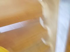 -昆山城市生态森林公园