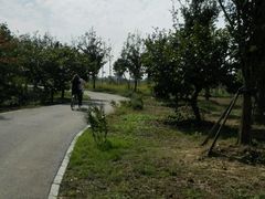 -梁鸿国家湿地公园