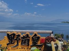 -野菌皇海景野生菌火锅(滨海大道店)
