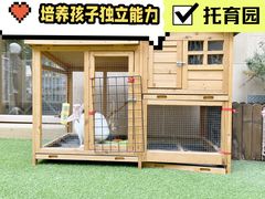-古力古利托育早教中心(澳门路校区)