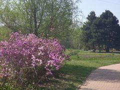 -黑龙江省森林植物园