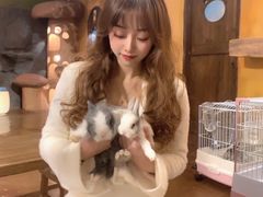 -猫猫幼稚园·撸猫·桌游·电玩