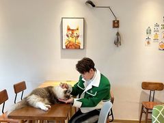 -猫小主咖啡·猫咖cat cafe(福田店)