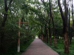 -洛阳市隋唐城遗址植物园