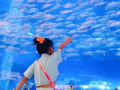 -成都浩海立方海洋公园