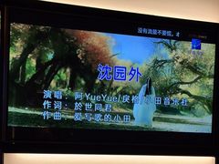-星聚会KTV(南翔印象城MEGA店)