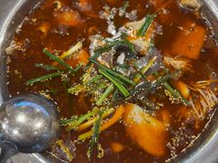 -乡土特色.冷锅鱼.牦牛肉汤锅