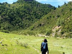 -芦芽山旅游度假区
