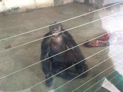 -新疆天山野生动物园