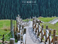 -果子沟大桥
