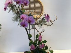国际花卉艺术展-广州市第二少年宫
