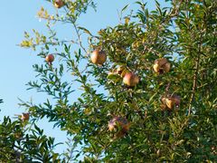 -东钱湖旅游度假区