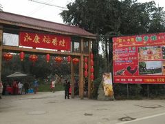 android_upload_pic-永康森林公园