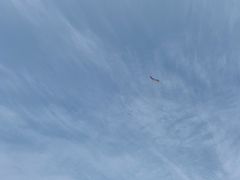 -瑶湖郊野森林公园