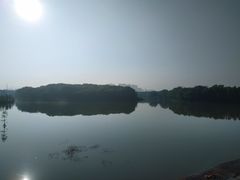 -昆山城市生态森林公园