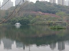 -重庆彩云湖湿地公园