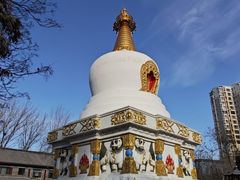 -护国法轮寺
