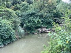 -黔灵山公园
