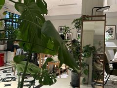 -一尺花园(安和花园店)