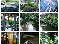 -桃园盛宴·岭南粤菜·手工茶点(南庄店)
