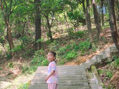 -火炉山森林公园