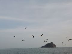 -棒棰岛宾馆景区