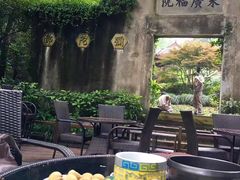 -十八棵（老龙井）御茶园(老龙井店)