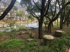 -同里国家湿地公园