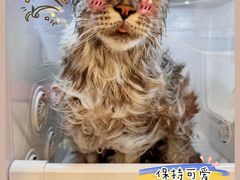 -FAELING PETS美天灵宠物(合生汇店)