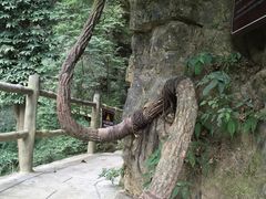 -神龙峡风景区