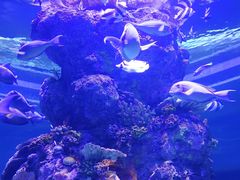 -成都浩海立方海洋公园